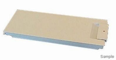 Gefrierfachtür kompl. Siemens Bosch 299580 00299580 * A