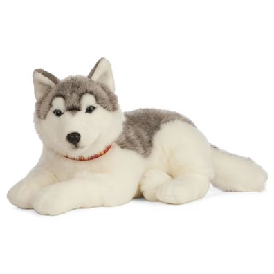 großer Husky liegend HUND Plüschtier Stofftier Kuscheltier L= 62cm Living Nature