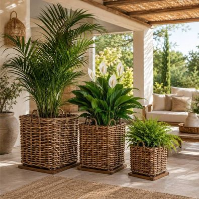 Dickes CL Rattan Korb Cestino braun ca.70cm Teakbodenplatte Pflanzkorb Griffe