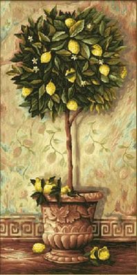 Citrus Limonum