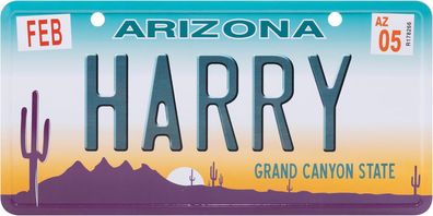 USA Kennzeichen mit Namen, Blechschild, HARRY , Arizona , (38)