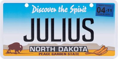 USA Kennzeichen mit Namen, Blechschild, JULIUS , NORTH DAKOTA , (45)