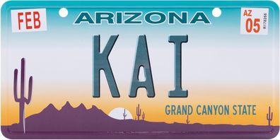 USA Kennzeichen mit Namen, Blechschild, KAI , Arizona , (46)