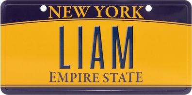 USA Kennzeichen mit Namen, Blechschild, LIAM , NEW YORK , (53)