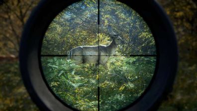 theHunter: Call of the Wild – Steam Key (Aktivierungscode) [EU]