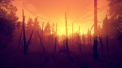 Firewatch – GOG Key (Aktivierungscode)