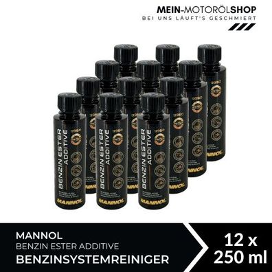 Mannol Benzin Ester Additive Benzinsystemreiniger 12x250 ML