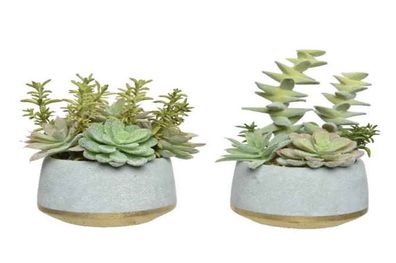 Kunst Sukkulente im Betontopf Dekopflanze Stückpreis H 21,5 cm