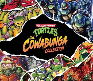 Teenage Mutant Ninja Turtles: The Cowabunga – Steam Key (Aktivierungscode) [EU]