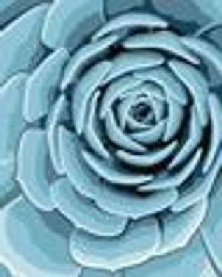 Botanical Blue