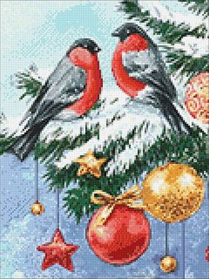 Vögel auf dem Tannenzweig