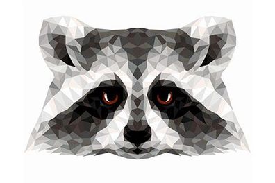 Polygon Waschbär