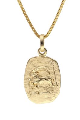 trendor Schmuck Steinbock Sternzeichen Gold 333 mit vergoldeter Silberkette 15382-01