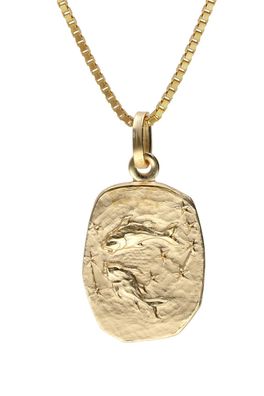 trendor Schmuck Fische Sternzeichen Gold 333 / 8K mit vergoldeter Silberkette 15382