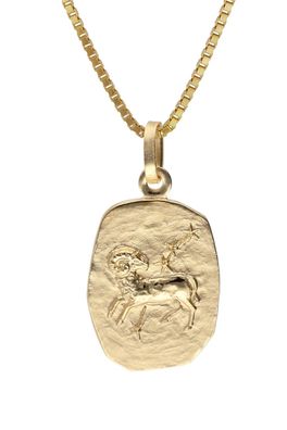 trendor Schmuck Widder Sternzeichen Gold 333 / 8K mit vergoldeter Silberkette 15382