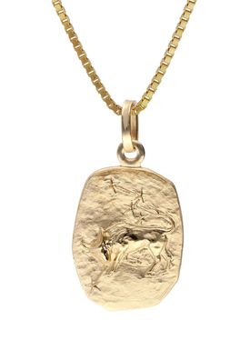 trendor Schmuck Stier Sternzeichen Gold 333 / 8K mit vergoldeter Silberkette 15382-0