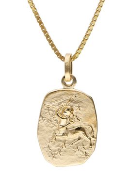 trendor Schmuck Schütze Sternzeichen Gold 333 mit vergoldeter Silberkette 15382-12