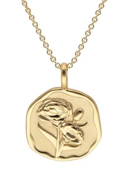 trendor Schmuck Halskette mit Monatsblume Januar 925 Silber Vergoldet 68002-01