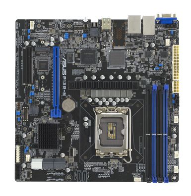 P13R-M, Mainboard