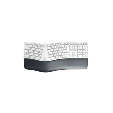 Cherry CHERRY KC4500 ERGO Tastatur Wired DE 1.80m weiß grau