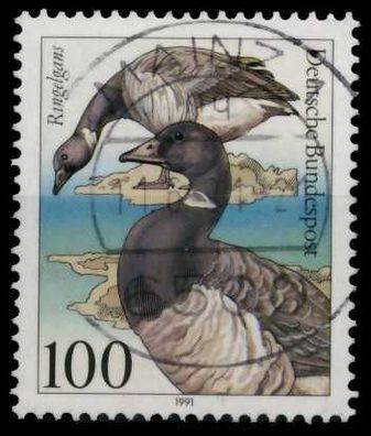 BRD 1991 Nr 1541 zentrisch gestempelt X84AFB2