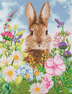 Frühlingserwachen