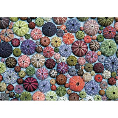 Piatnik Seeigel Puzzle 1000 Teile