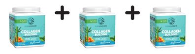 3 x Sunwarrior Collagen Building Protein Peptides (500g) Natural