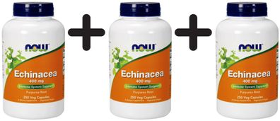 3 x NOW Foods Echinacea, 400mg - 250 vcaps
