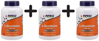 3 x NOW Foods L-Ornithine, 500mg - 120 caps