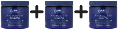 3 x Life Extension Creatine & Acetyl-L-Carnitine Energy Plus - 233g