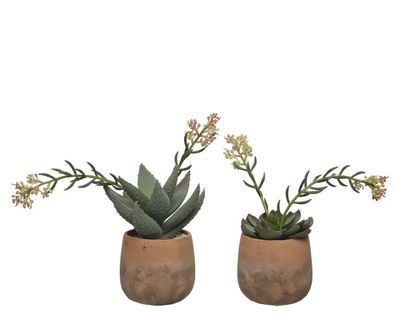 Sukkulente Topf Kunstpflanze Polyester grün H 28 cm Stückpreis