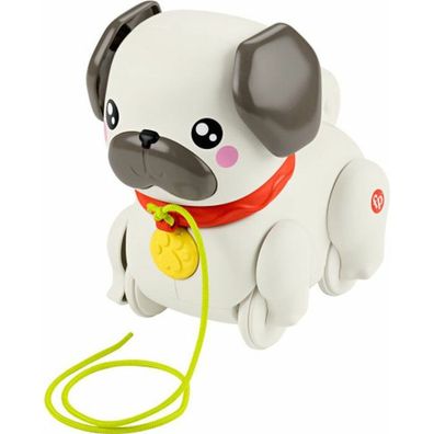 Pets Gassi Gehen Mit Hündchen