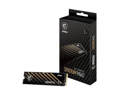 MSI S78-440Q550-P83, 2 TB, M.2, 5000 MB/s