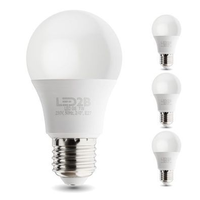 LED Glühbirne LED2B E27-Sockel GS 7W Kaltweiß 6500K 600lm Birne