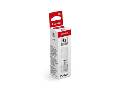 Canon GI-53 G Foto-Grau Original Tintenflasche GRAU (4708C001) 60ml