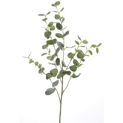 Fink branche d'euaclyptus , en vert