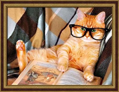 Lesende Katze