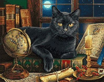 Belesene Katze