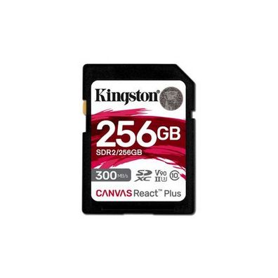 Kingston Technology - SDR2/256GB - Speicherkarte
