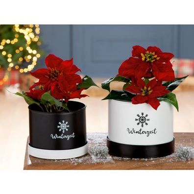 Pots de fleurs en métal Gilde : Élégance hivernale pour votre jardin
