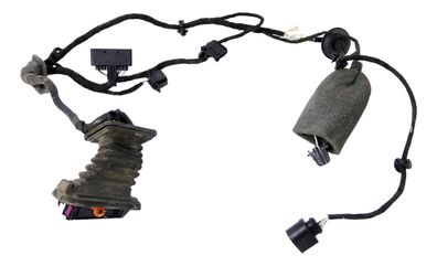 Passat 3C Kabelbaum Tür Türkabelbaum ZV hinten links 3C4971693ES Kabel Leitung