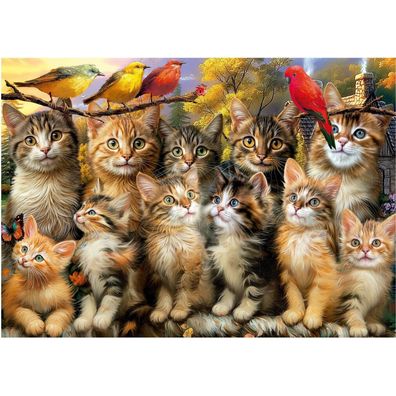 EDUCA Puzzle Katzen und Katzen 500 Puppen