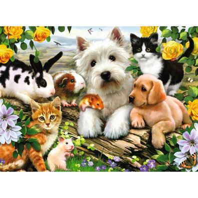 Tierfreunde, 300 Stück