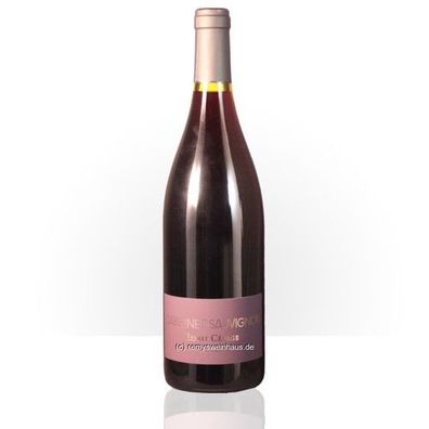 Les Coteaux du Pic 2023 Cabernet Sauvignon Esprit Cepage IGP Pays d´Oc 0.75 Lit