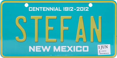 USA Kennzeichen mit Namen, Blechschild, STEFAN , NEW MEXICO , (91)