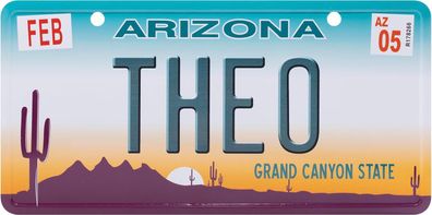 USA Kennzeichen mit Namen, Blechschild, THEO , Arizona , (93)