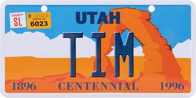 USA Kennzeichen mit Namen, Blechschild, TIM , UTAH , (95)
