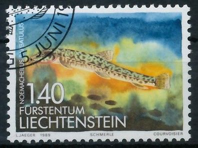 Liechtenstein 1989 Nr 966 gestempelt SB45A4E