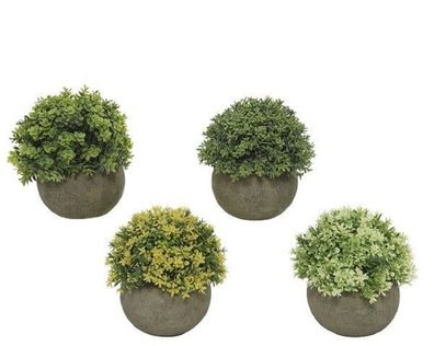 Pflanze Topf Blumen Dekoration grün Ø12/H13cm Stückpreis